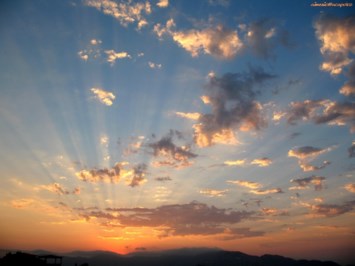 Obituary of Edith "Joyce" Stempel