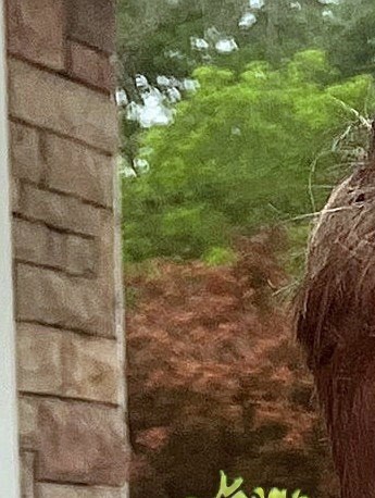 Benjamin Mark Breitung Obituary Washingtonville, NY