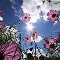 Obituary of Regina Slayton