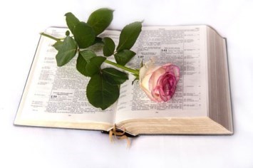 Obituary of Darlene (Dean) Carter
