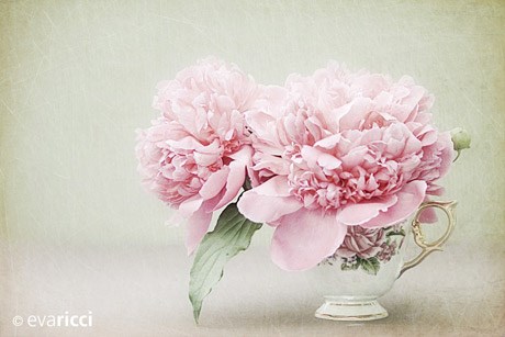 Obituary of Lorraine Marie Ferguson