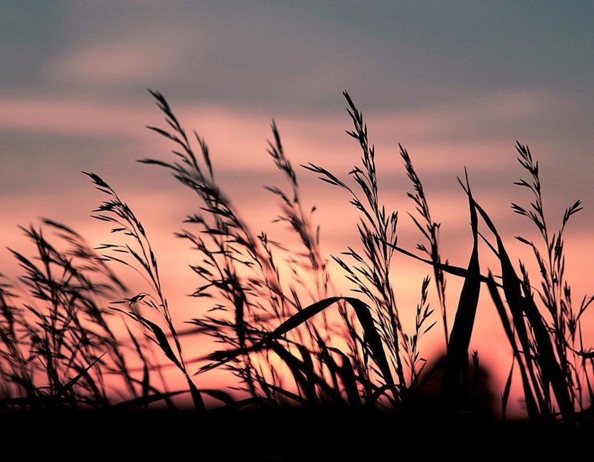 Obituary of Robert C Bowman Sr.