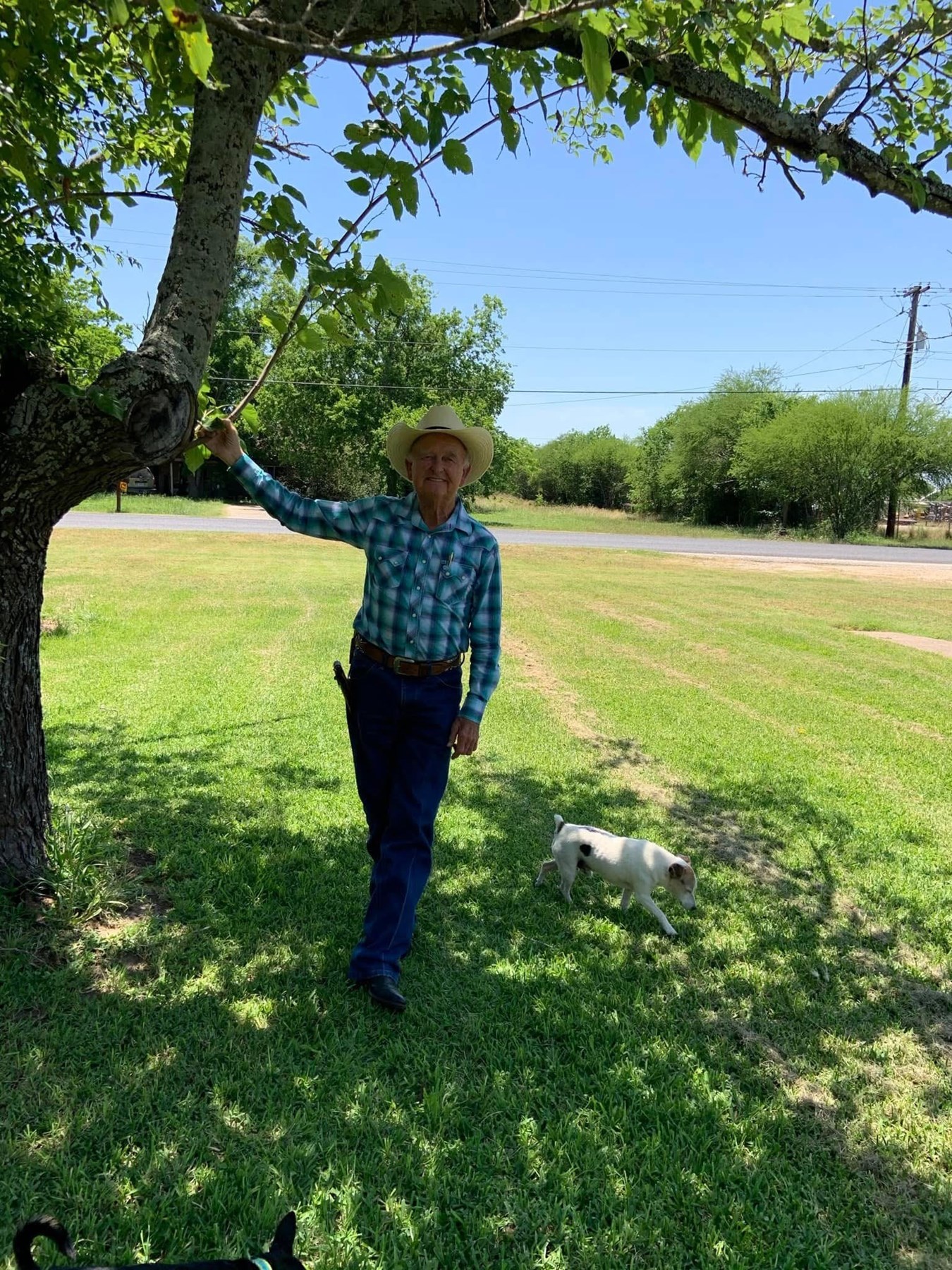 Obituary of George Lee McDonald