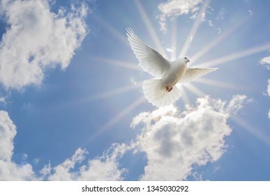 Obituary of Trino Naranjo