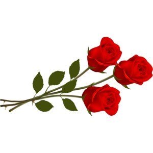 Obituary of Emma "Frances" Turner Hull