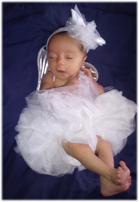 Obituary of Bailey Lynne Rehfus