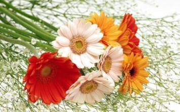 Obituary of Mina Watterson Humphreys