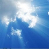 Obituary of Billy Arnold