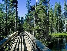 Obituary of Clyde Glover Pearce