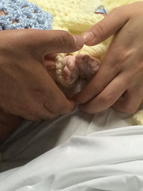 Obituary of Jorge Flores