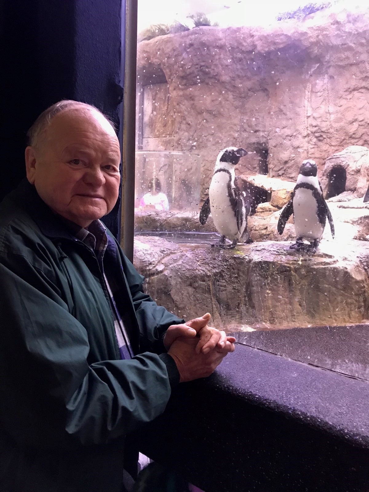 Obituary of Rodney Lee See