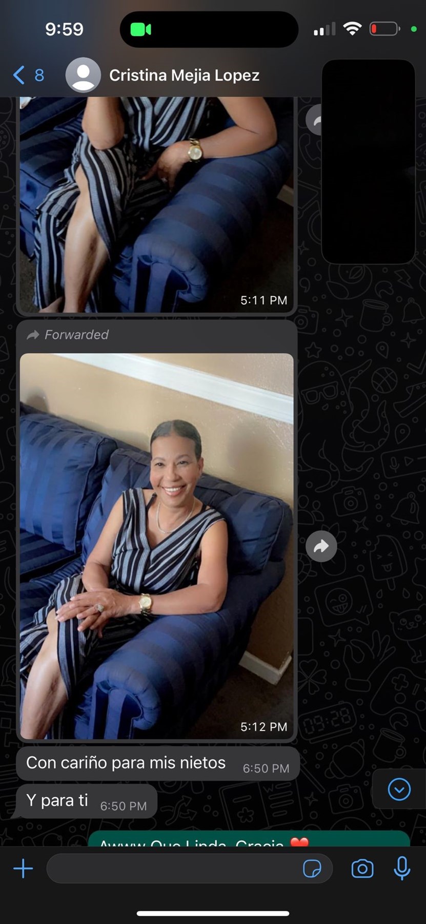 Obituary of Cristina Mejias-Lopez