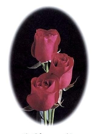 Obituary of Linda Ann Kelly