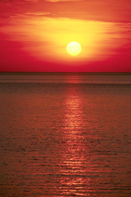 Obituary of Harold D. Wood