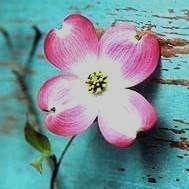 Obituary of Grace Nichols Wheeler