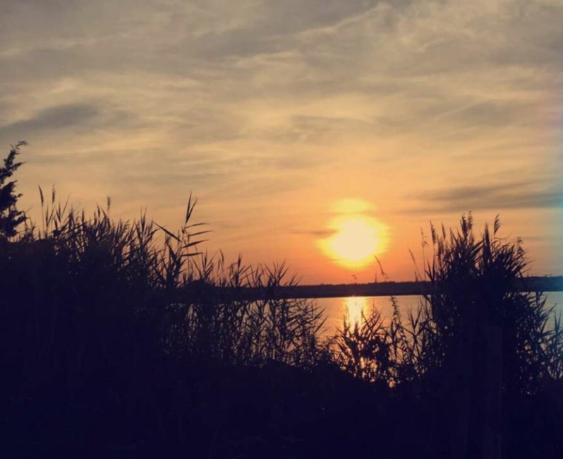 Obituary of Robert A Field