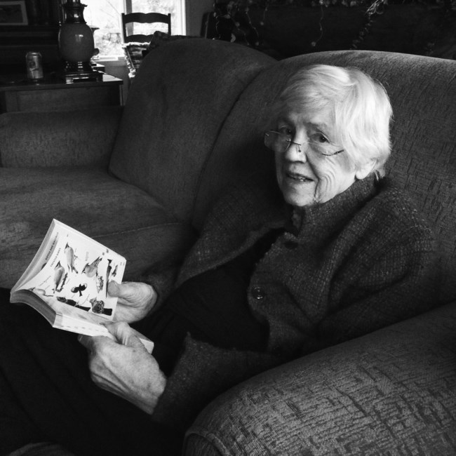 Obituary of Anne Kinsey Call