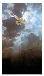 Obituary of Maria Teresa Zuniga