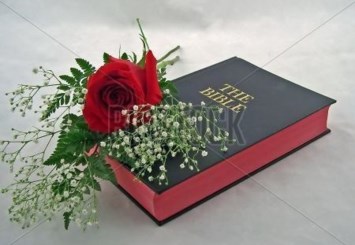 Obituary of Dorothy Ann Long