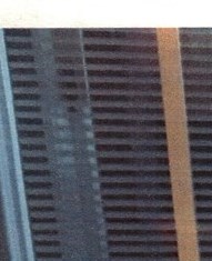 June Smith Obituary - Jacksonville, FL