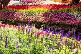 Obituario de Jeanne Lillian Biggart