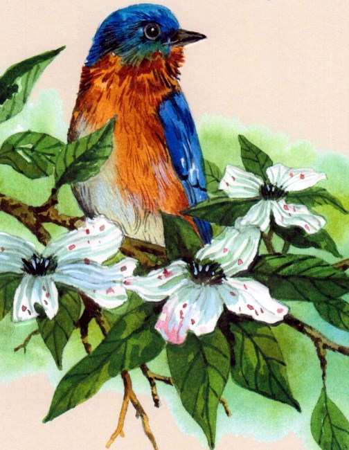 Obituary of Betty Jane Nonnenmacher