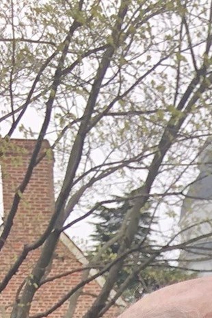 Charles Ruch Obituary - Annapolis, MD