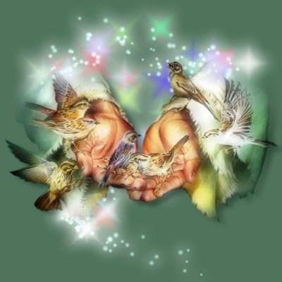 Obituary of Kaydence Ann Ignal