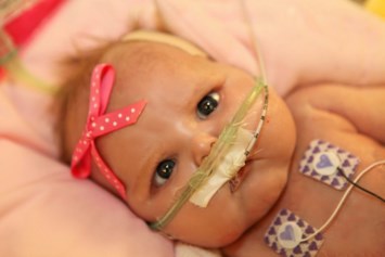 Obituary of McKenzie Jo Shwery