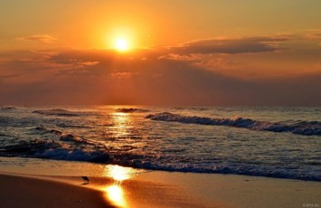 Obituary of Captain Robert W Johnson