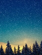 Obituary of Edna Lemley Foley