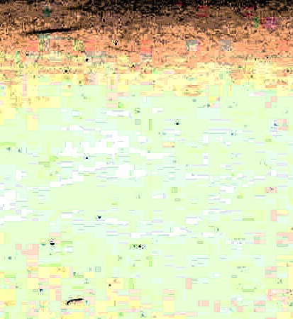 Whitehurst Norton Dias Obituaries