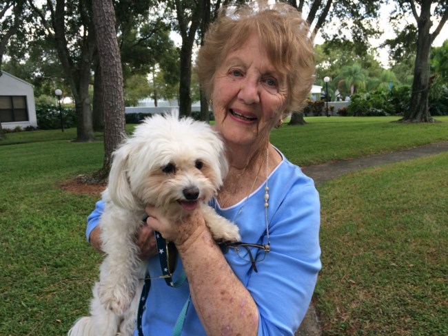 Nancy Mclaren Obituary Tampa Fl