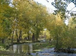 Obituary of Gary Allan Wilson