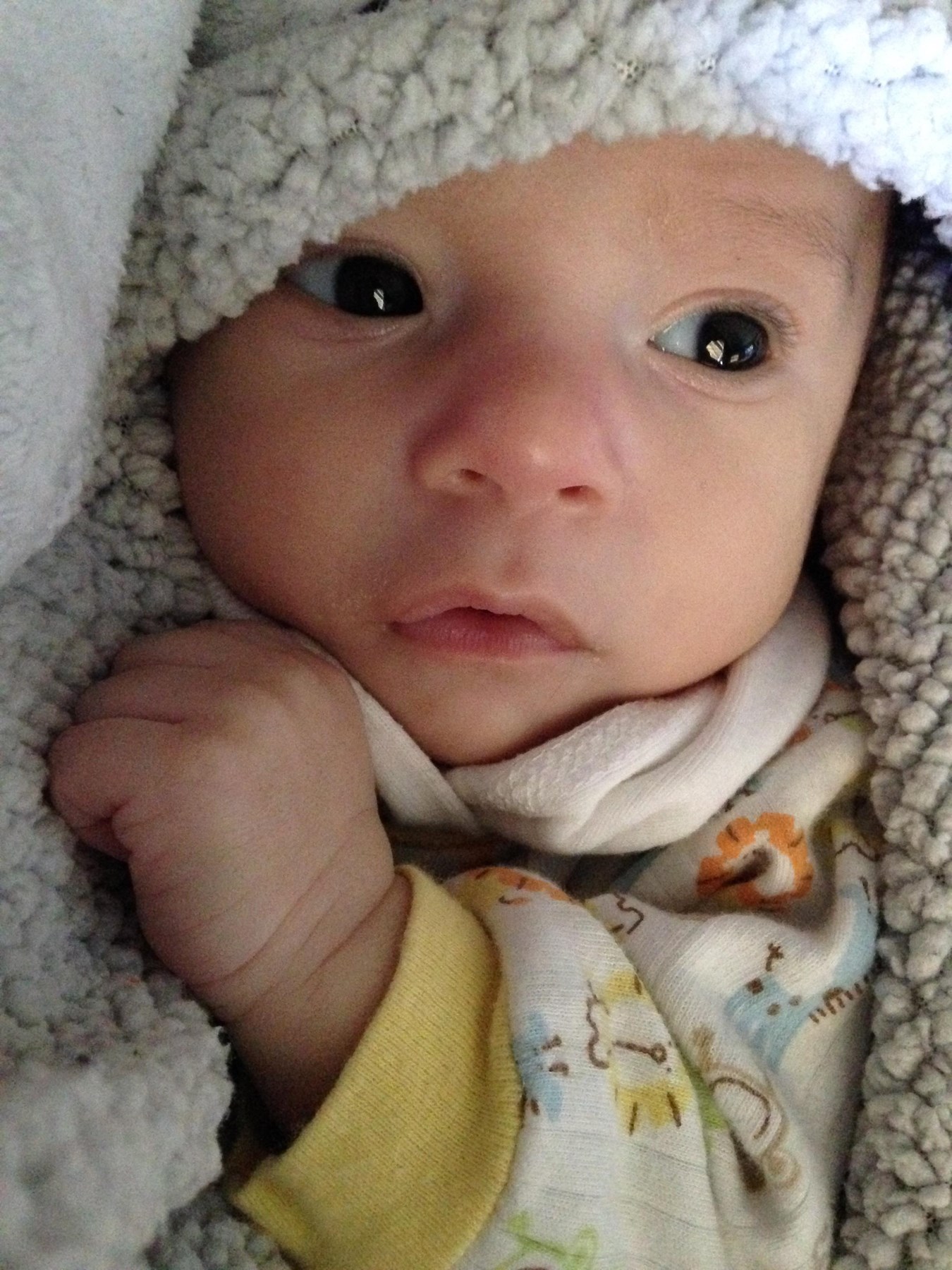 Obituary of Billy Daniel Brannum IV