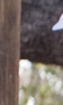 Robert Muñoz Obituary - San Antonio, TX