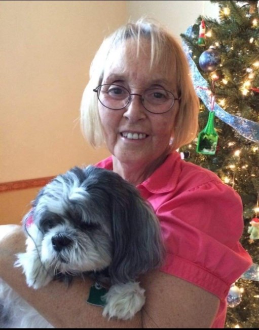 Obituary of Sandy Rue Sams