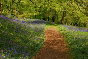 Obituary of Jay Rosecky