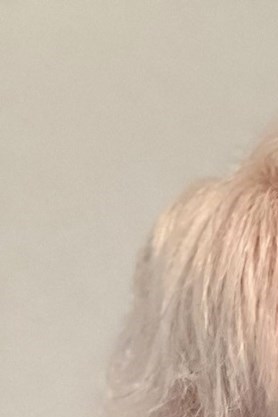 Glenna Wickline Obituary - Dallas, TX