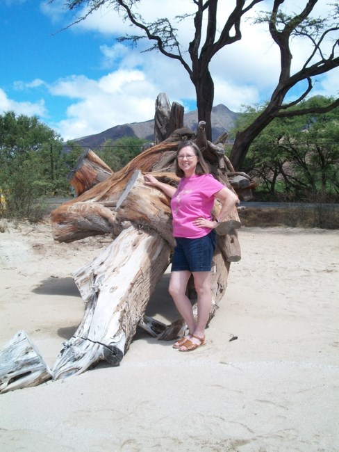 Obituary of Mrs. Shirley Ann Hoover