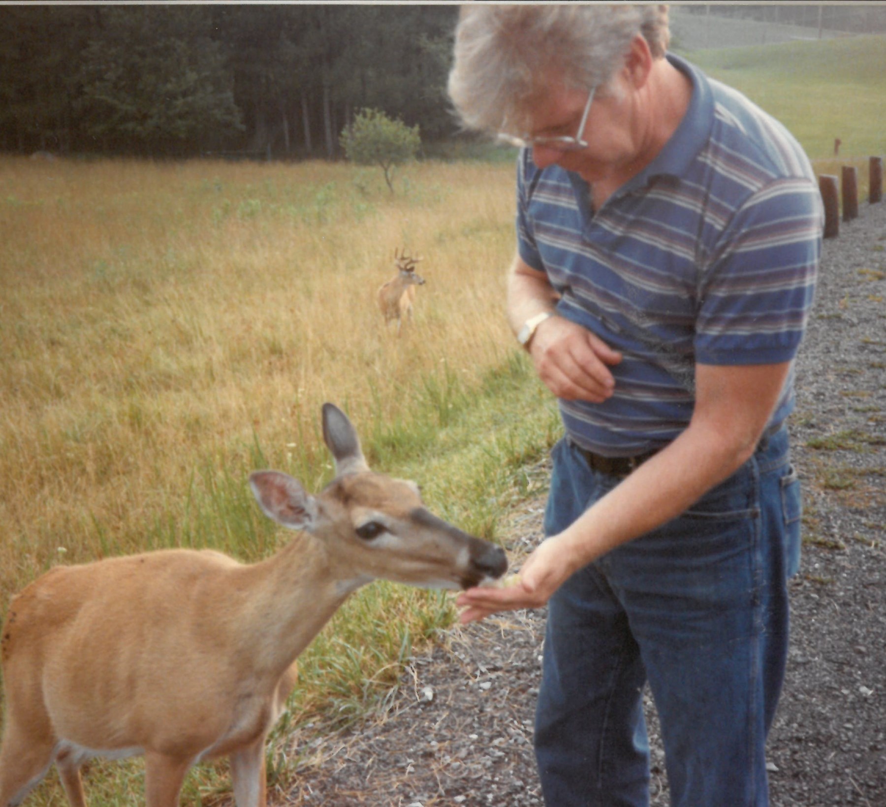Obituary of Richard Kiddar Meade