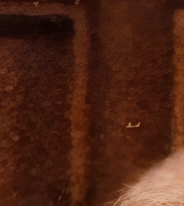 Wanda Walters Obituary - Houston, TX