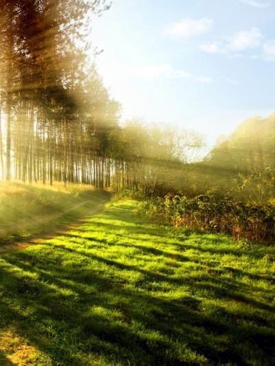 Obituary of Wayne Raymond Ballantyne