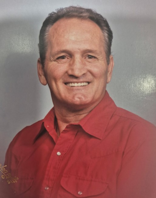 Obituary of Michael Stanley DiNardo
