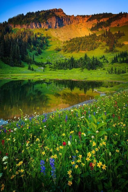 Avis de décès de Paul Carl Hackney