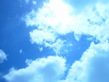 Obituary of Barbara K Sullivan