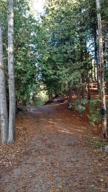 Obituary of Arlene Barbara Wiggins