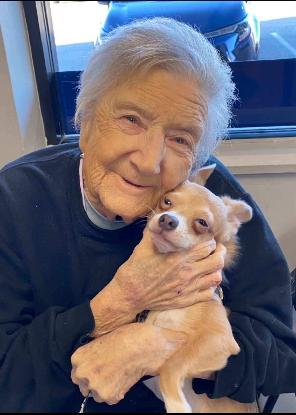 Obituary of Linda Marie McNees