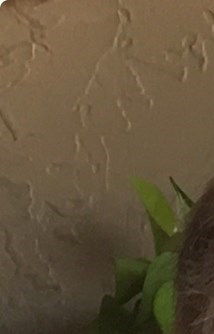 Patrick Counts Obituary - Raleigh, NC