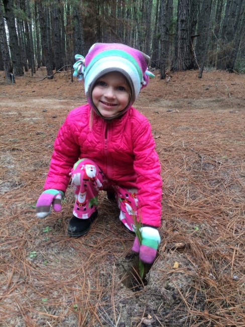 Obituary of Kaitlyn Grace Moorehead